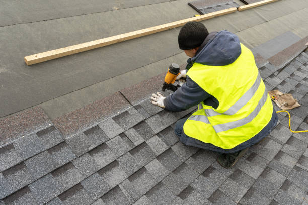 Roof Gutter Cleaning in Tobaccoville, NC