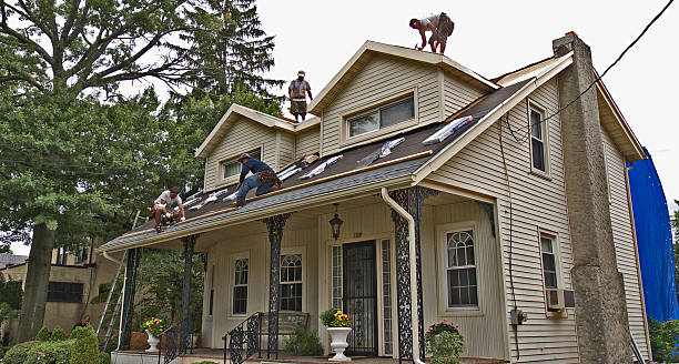 Best Metal Roofing Contractor  in Tobaccoville, NC
